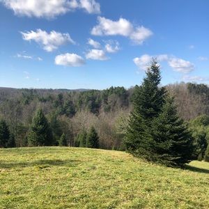 Meet your Posher, Will